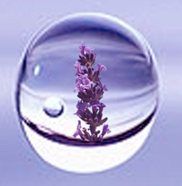 Oshadhi aromaterapija eterična ulja