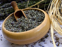 Oshadhi hidrolat lavanda